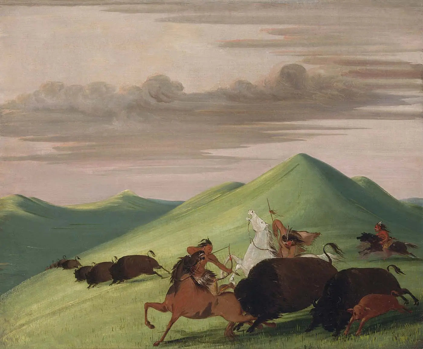 Chasse au bison taureau protégeant une vache et son veau - George Catlin - Alpha Reproduction