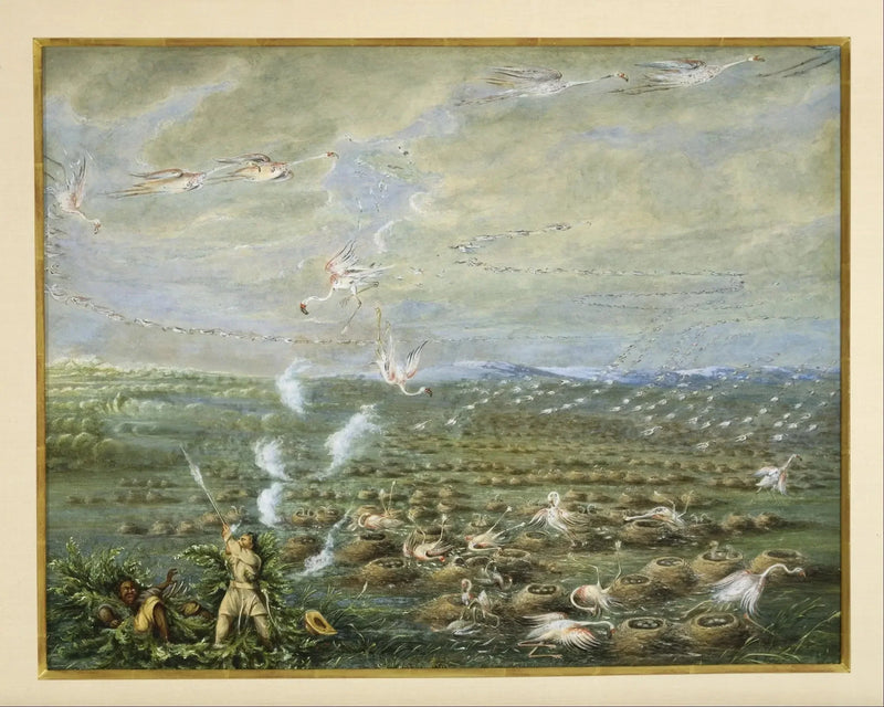 Caza de flamencos rosas en América del Sur - George Catlin