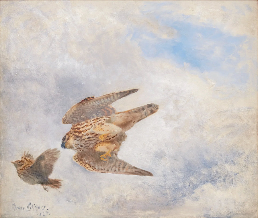 Caza de aves rapaces - Bruno Liljefors
