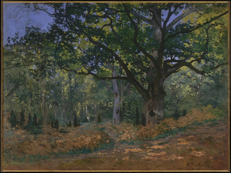 El roble de Bodmer, bosque de Fontainebleau W60 - Claude Monet