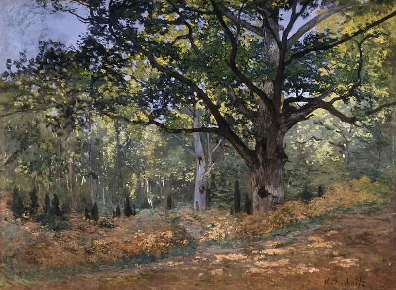 El roble de Bodmer, bosque de Fontainebleau W60 - Claude Monet