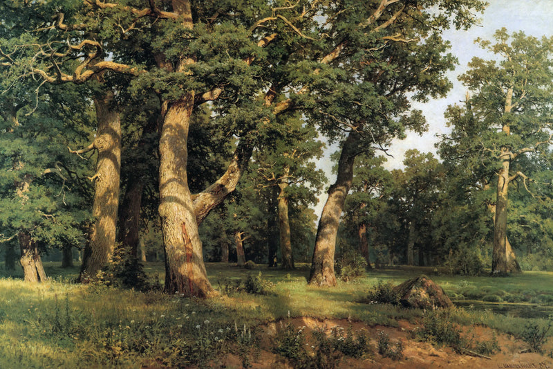 Bosque de Roble - Ivan Chichkine