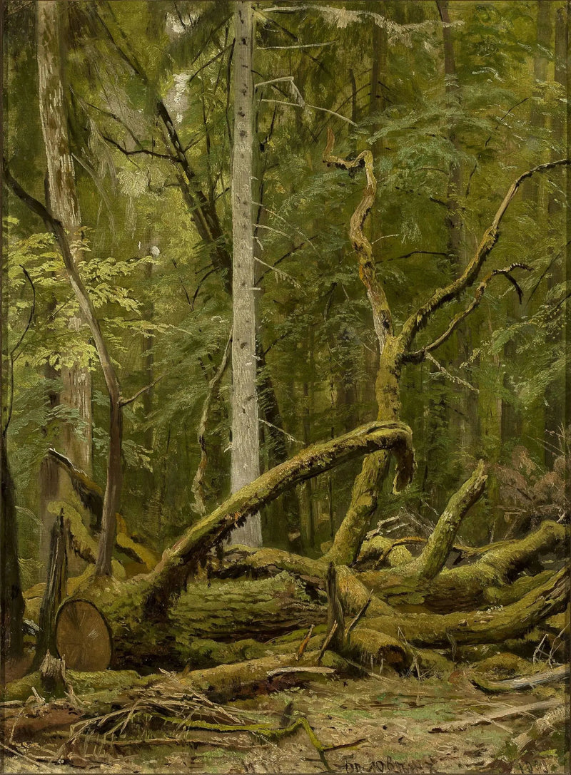 Roble aserrado - Ivan Chichkine