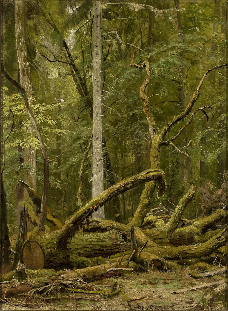 Roble aserrado - Ivan Chichkine