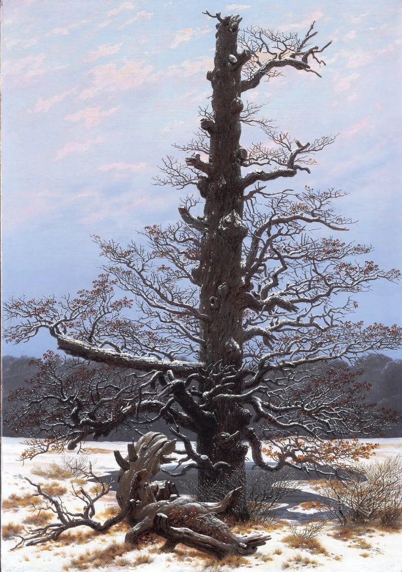 Roble bajo la nieve - Caspar David Friedrich