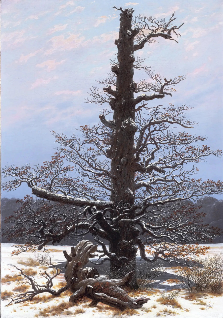 Roble bajo la nieve - Caspar David Friedrich
