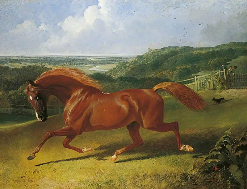 Caballo galopando en un campo - John Frederick Herring, Sr.