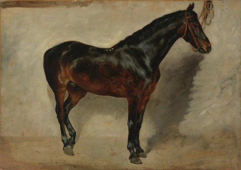 Caballo castaño atado - Eugène Delacroix