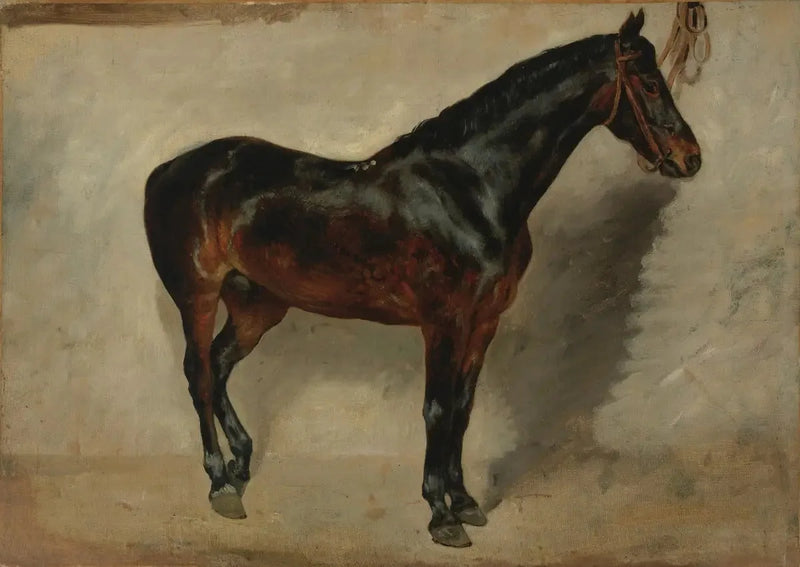Caballo castaño atado - Eugène Delacroix