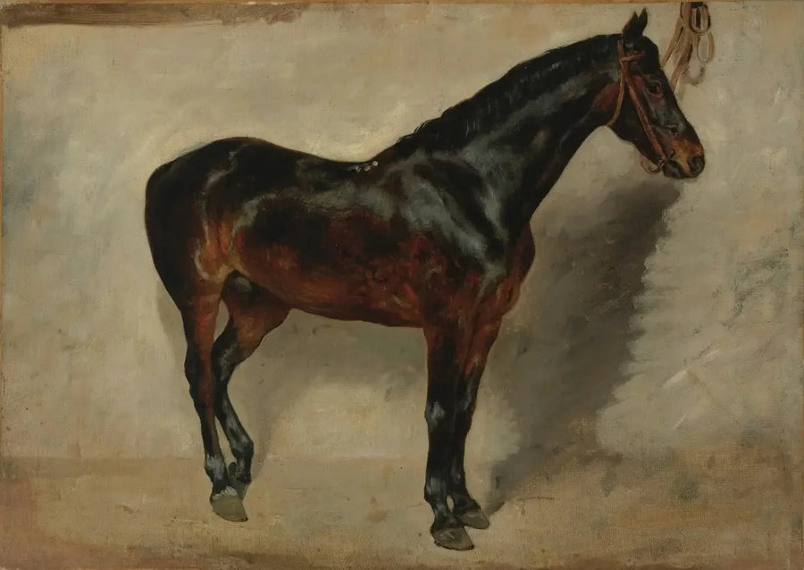 Caballo castaño atado - Eugène Delacroix