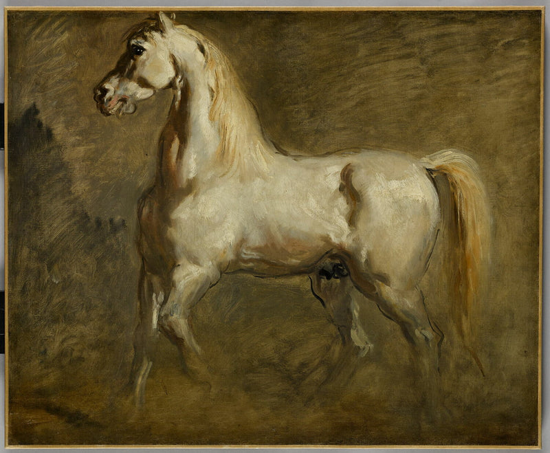 Caballo blanco de perfil a la izquierda - Théodore Chassériau