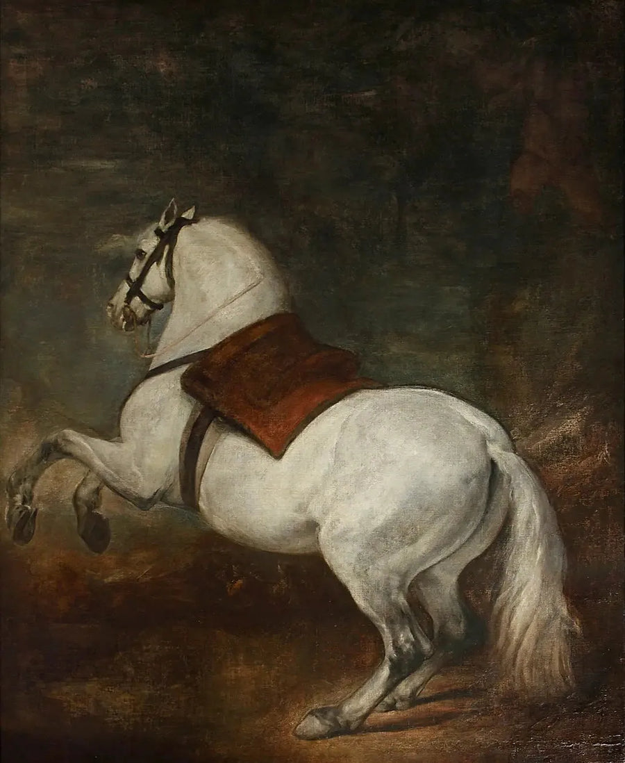 Caballo blanco - Diego Velázquez