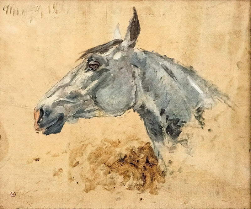 Caballo blanco Gazelle - Henri de Toulouse-Lautrec