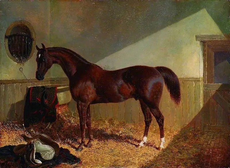 Caballo marrón en un establo - John Frederick Herring, Sr.