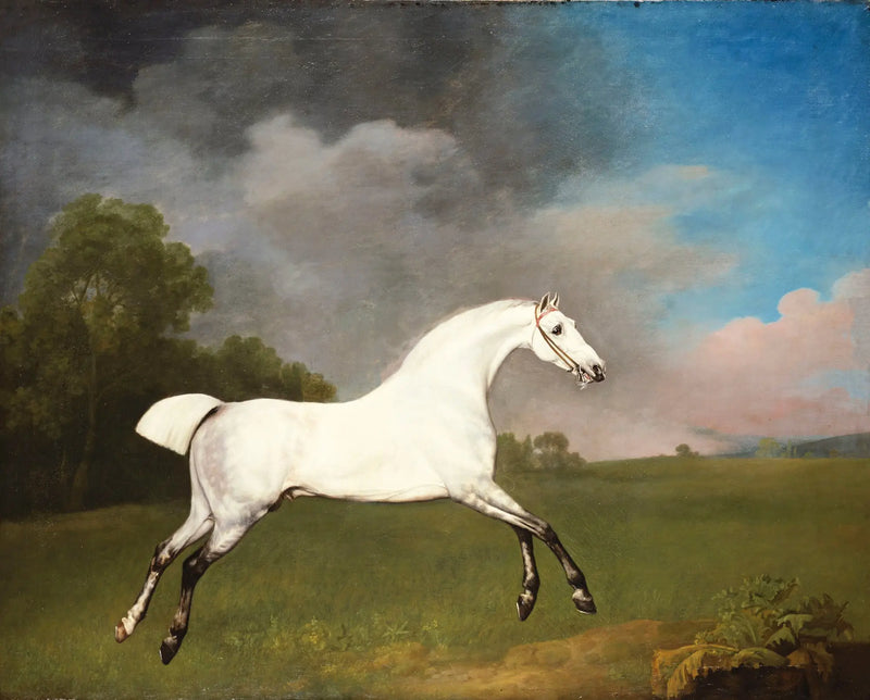 Caballo gris galopando en un campo - George Stubbs