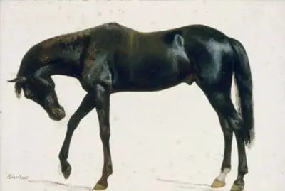 Caballo negro - Albert Bierstadt