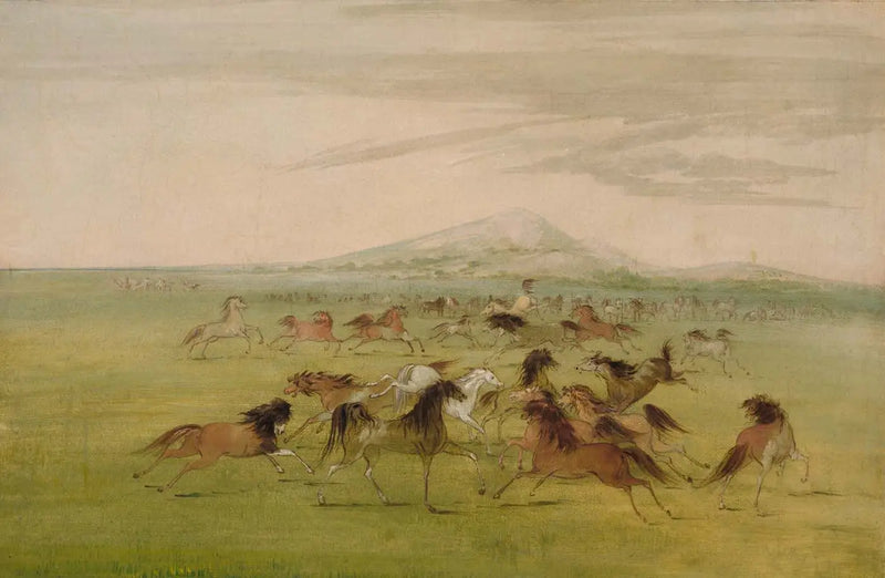 Caballos salvajes en juego - George Catlin