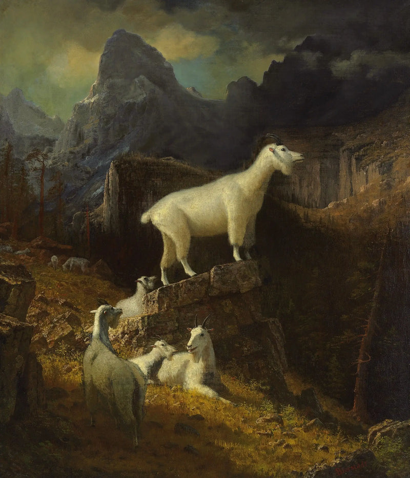 Cabras de las Montañas Rocosas - Albert Bierstadt