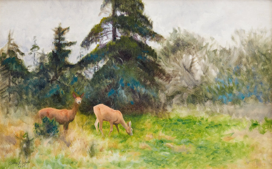Corzo en la vegetación estival - Bruno Liljefors