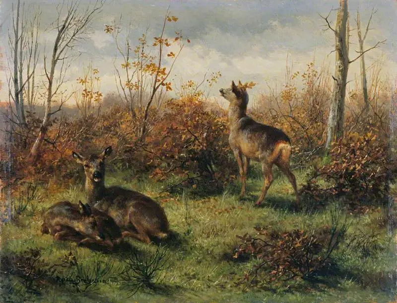 Corzo - Rosa Bonheur