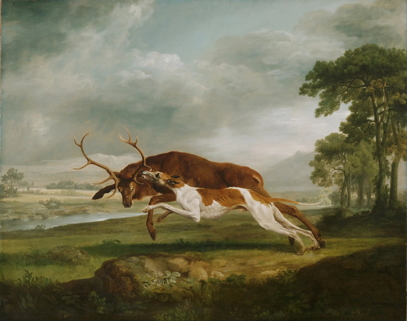 Perro en carrera persiguiendo a un ciervo - George Stubbs
