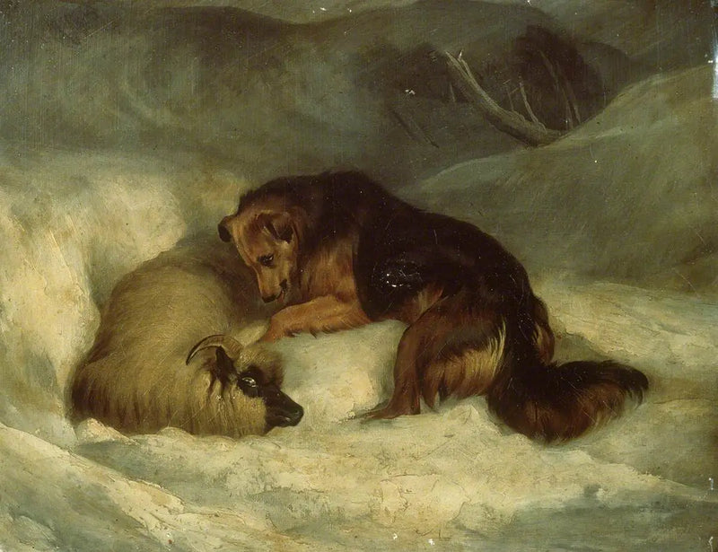 Perro pastor de las Highlands en la nieve (anteriormente conocido como «Perro pastor salvando a un carnero de una avalancha») - Edwin Henry Landseer