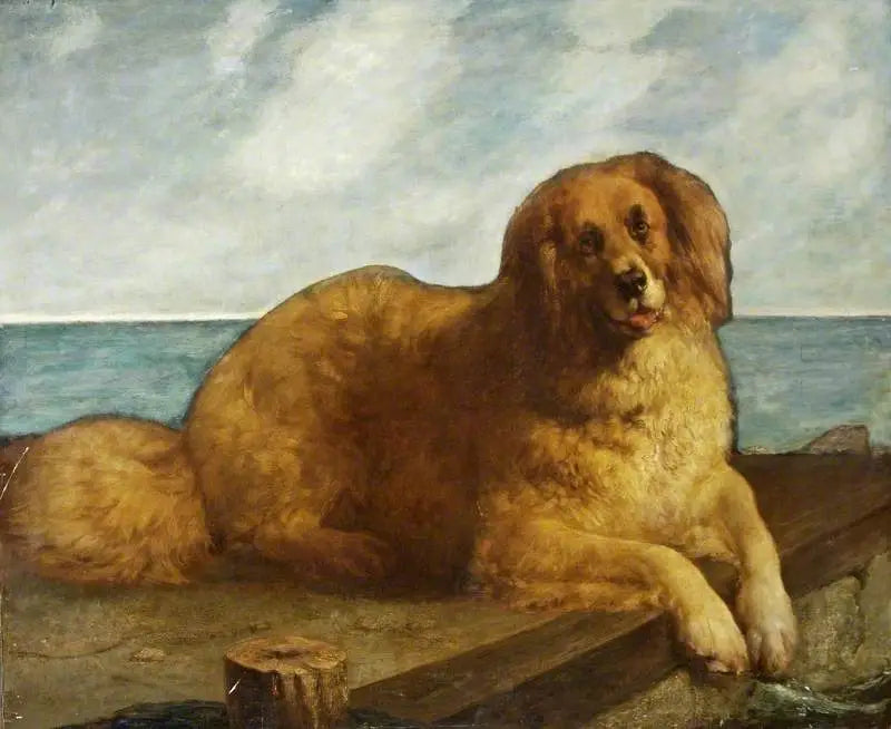 Perro - Edwin Henry Landseer
