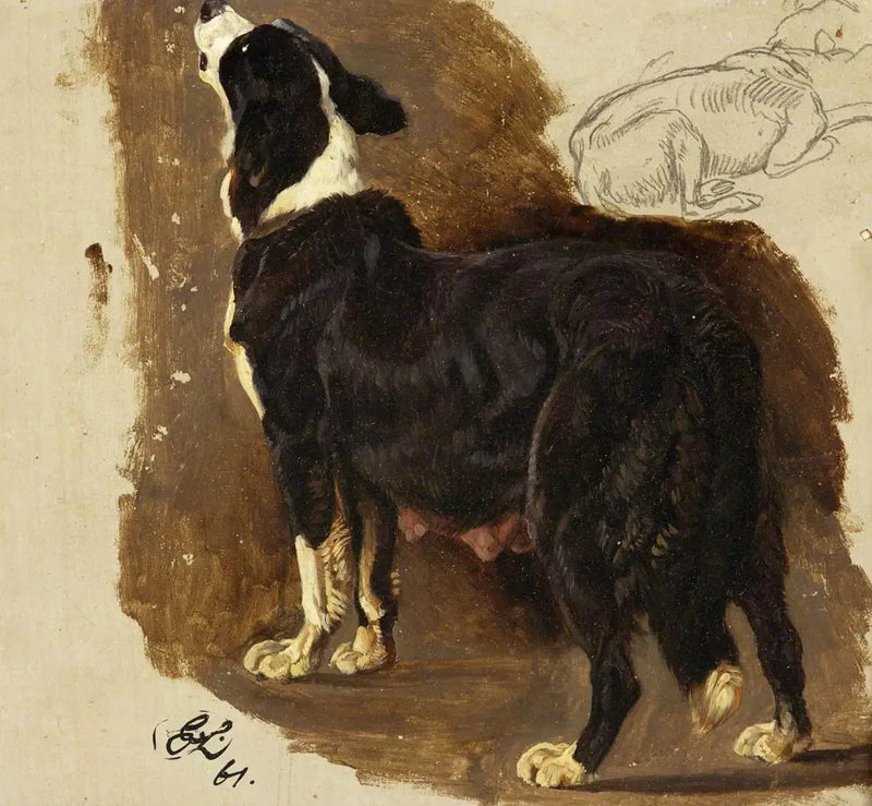 Perro Colley - Edwin Henry Landseer