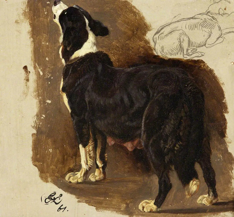 Perro Colley - Edwin Henry Landseer
