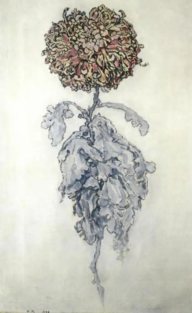 Crisantemo - Piet Mondrian