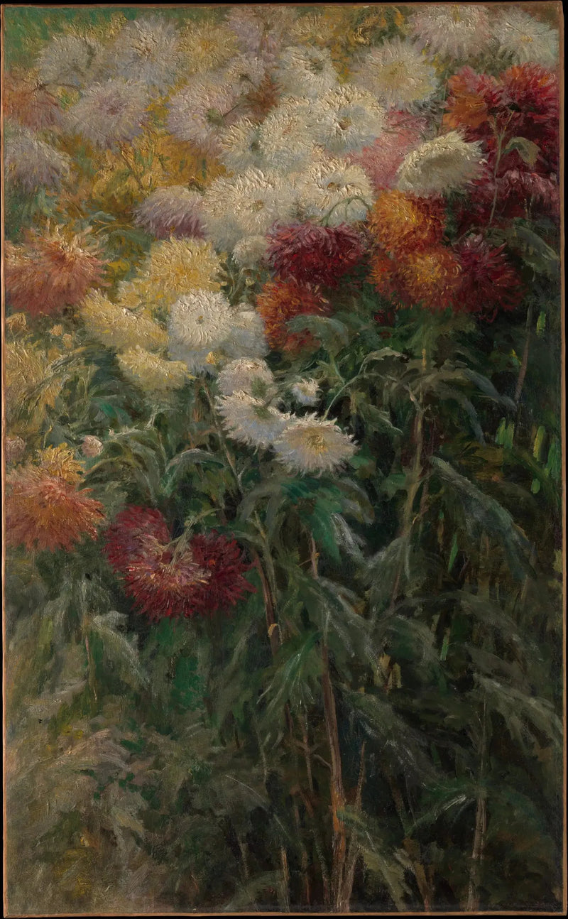 Crisantemos en el jardín de Petit Gennevilliers - Gustave Caillebotte