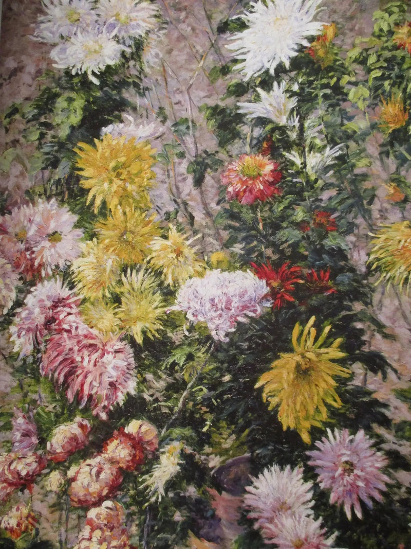 Crisantemos blancos y amarillos. Jardín del Petit Gennevilliers - Gustave Caillebotte