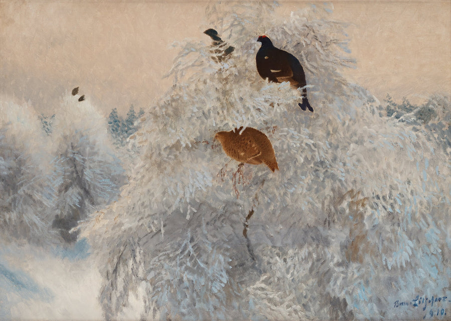 Copas de árboles blancas en invierno con urogallo negro - Bruno Liljefors