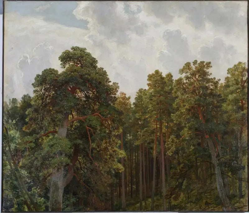 Cimas de pinos - Ivan Chichkine
