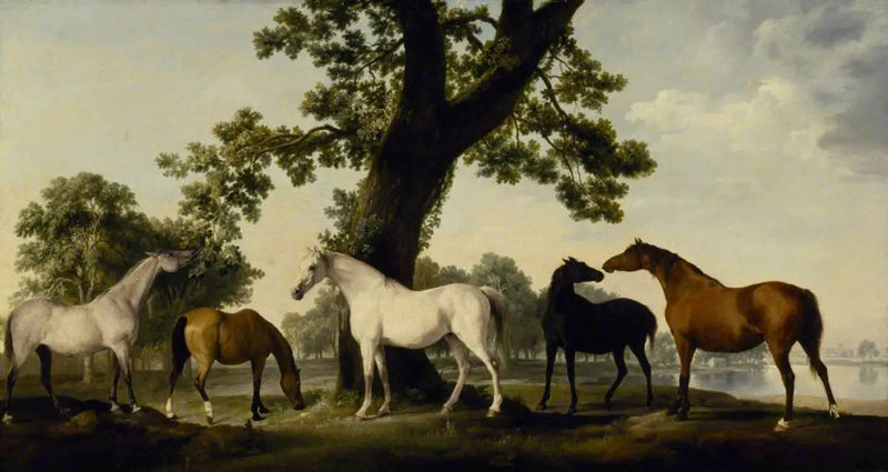 Cinco yeguas en la cría del duque de Cumberland en el Gran Parque de Windsor - George Stubbs