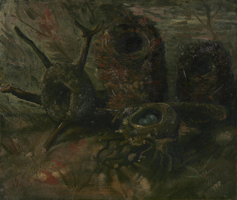 nidos de pájaros - Vincent van Gogh