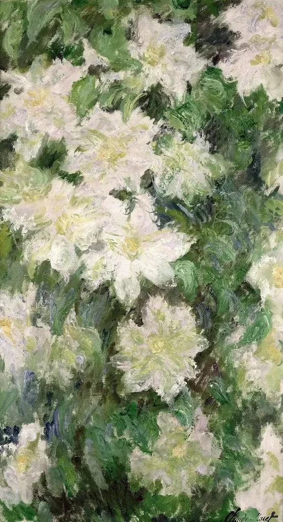 Clemátide blanca W1144 - Claude Monet