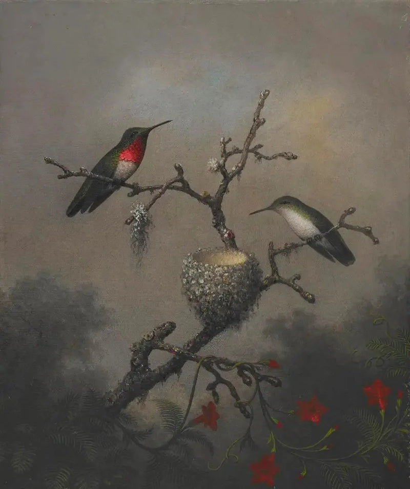 Colibrí de garganta rubí - Martin Johnson Heade