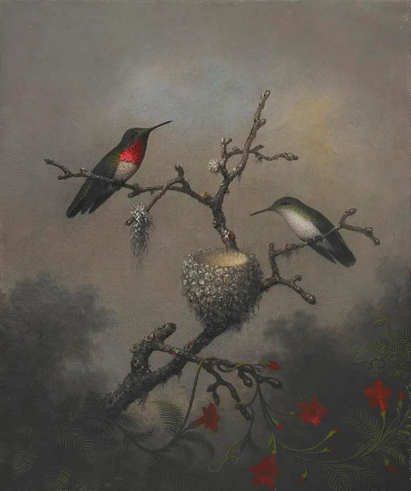 Colibrí de garganta rubí - Martin Johnson Heade