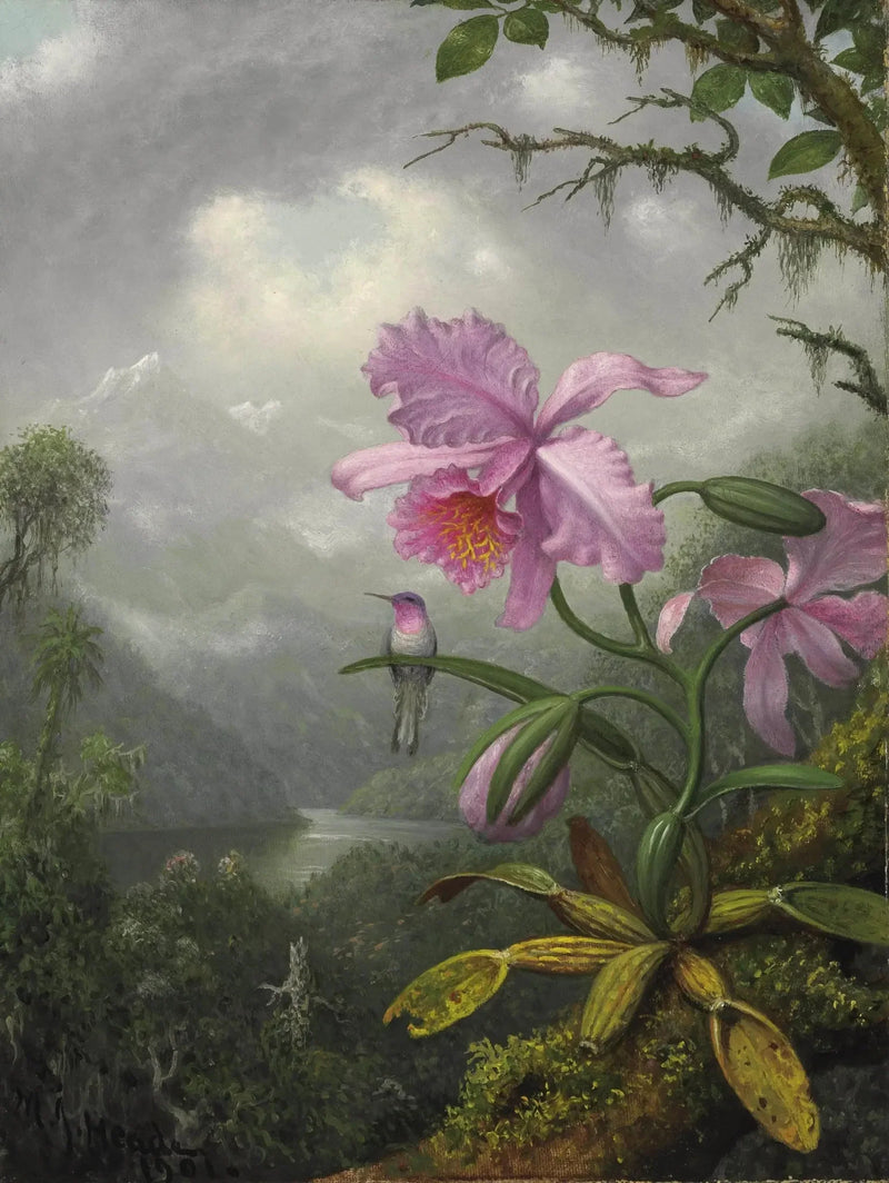 Colibrí perchero en la planta de orquídea - Martin Johnson Heade