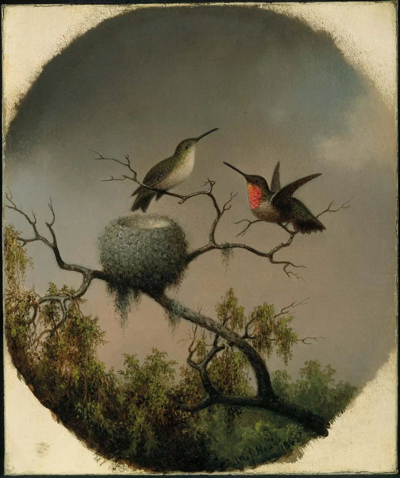 Colibríes con nido - Martin Johnson Heade