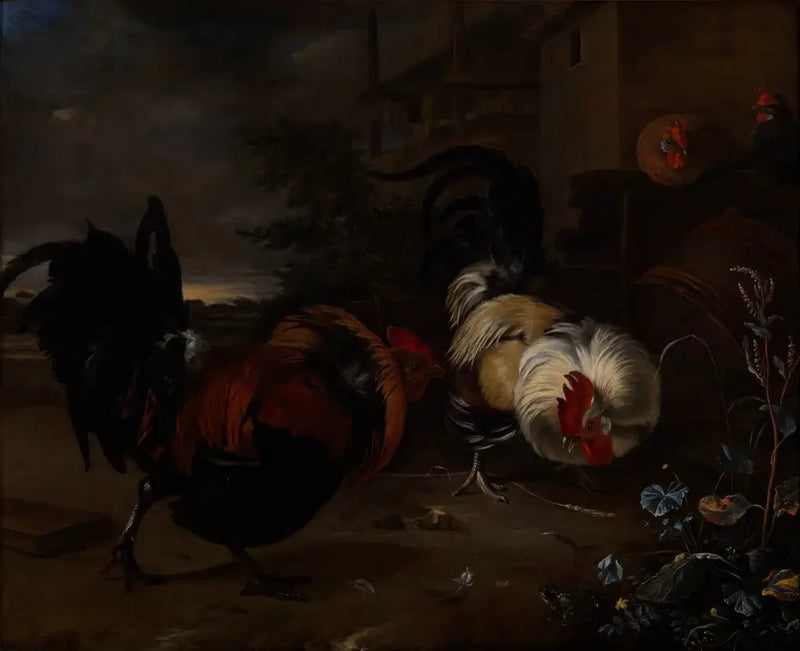 Combate de gallos - Melchior de Hondecoeter