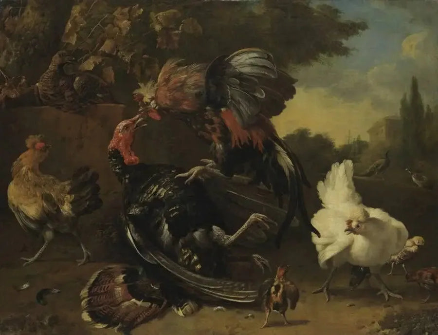 Combate entre un gallo y una pava - Melchior de Hondecoeter