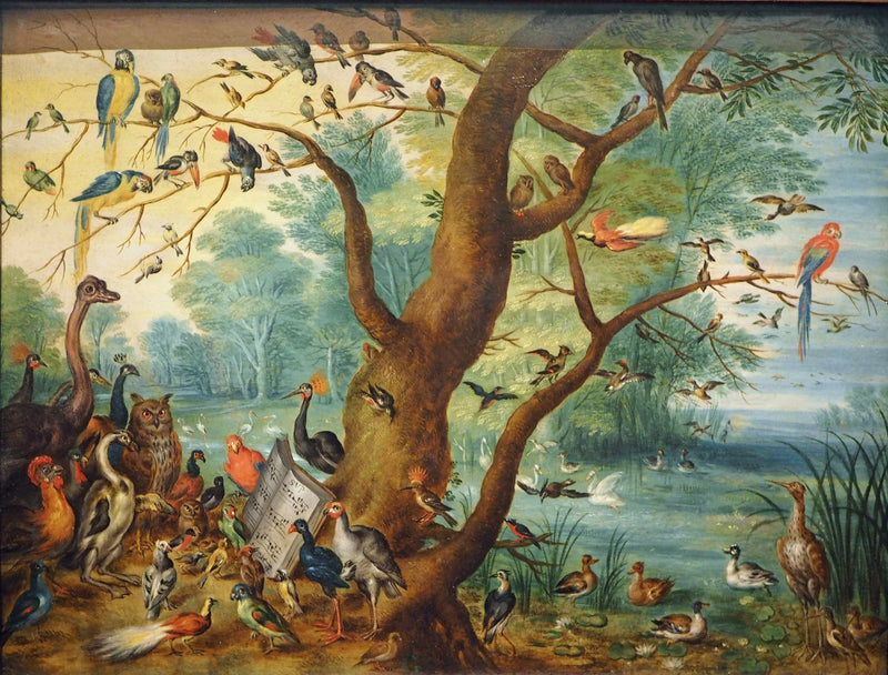 Concert des oiseaux - Jan Brueghel le Jeune