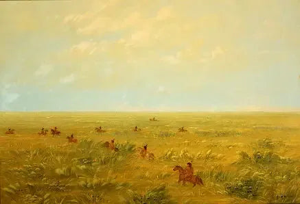 Conducir por la pampa para el ganado salvaje - Connibo - George Catlin