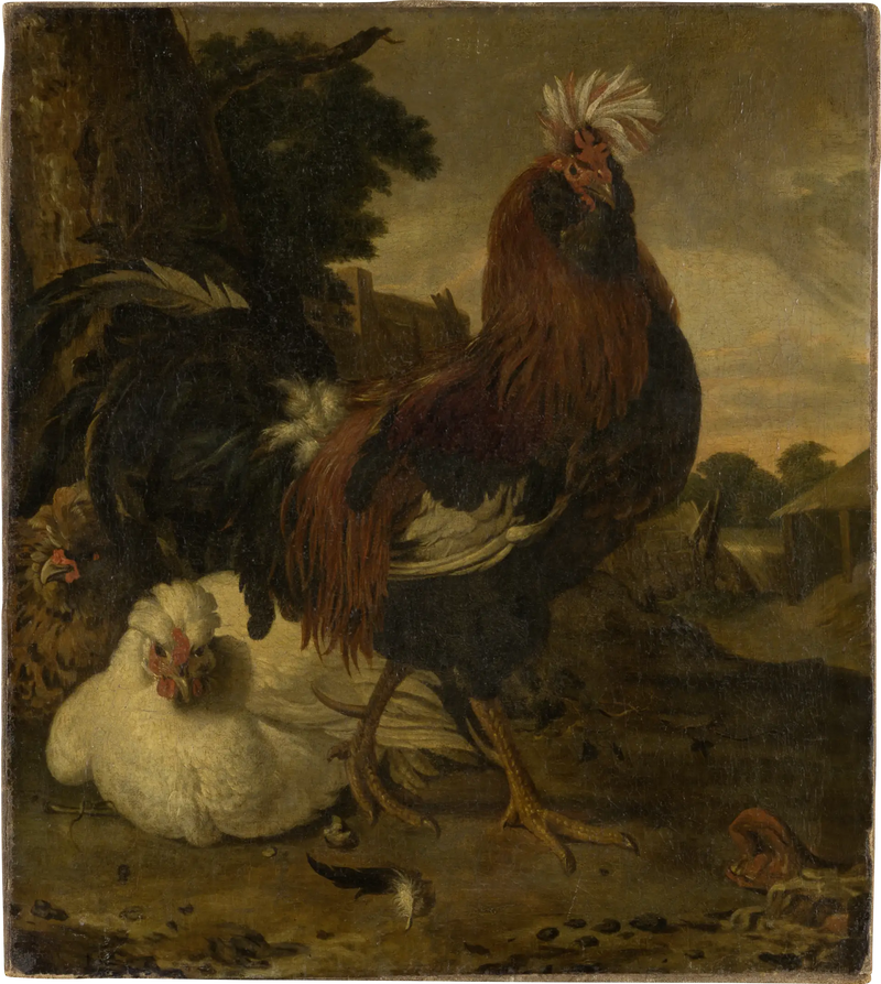 Gallo en un corral - Melchior de Hondecoeter