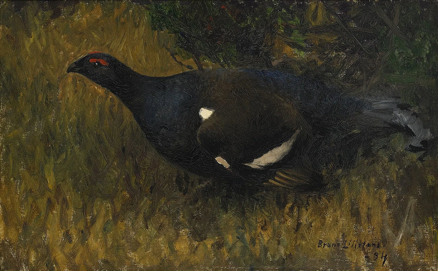 Gallo negro - Bruno Liljefors