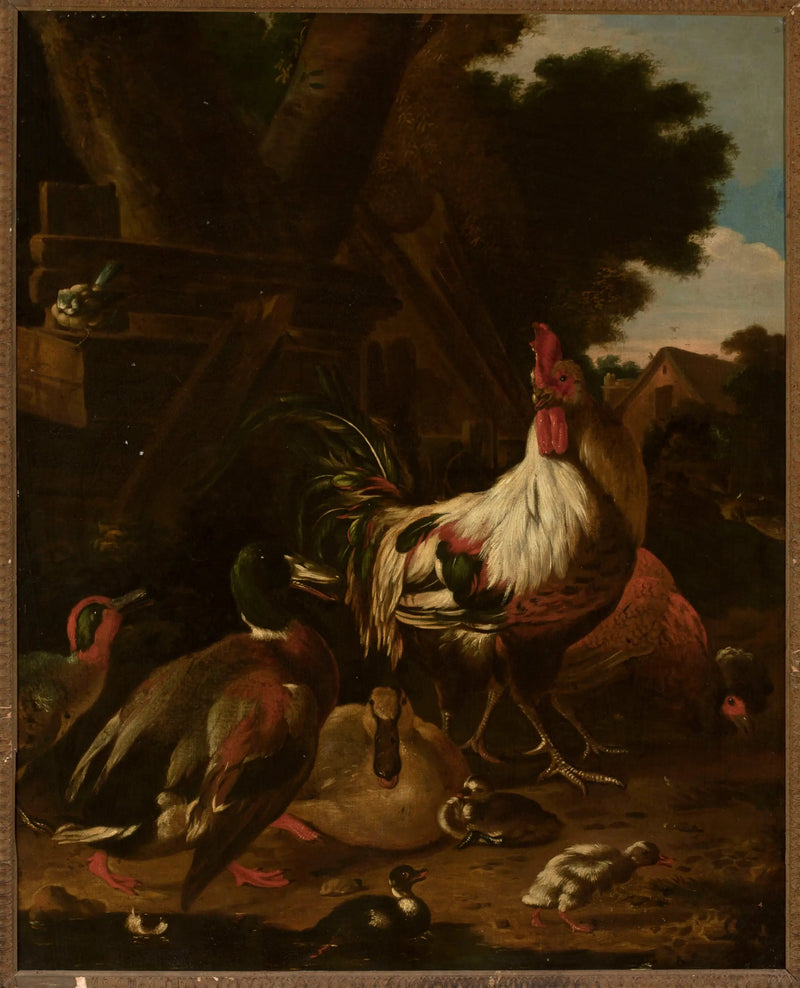 Gallo y patos - Melchior de Hondecoeter