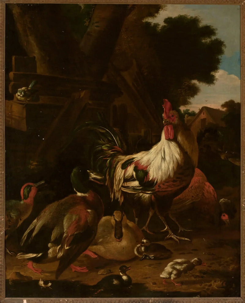 Gallo y patos - Melchior de Hondecoeter