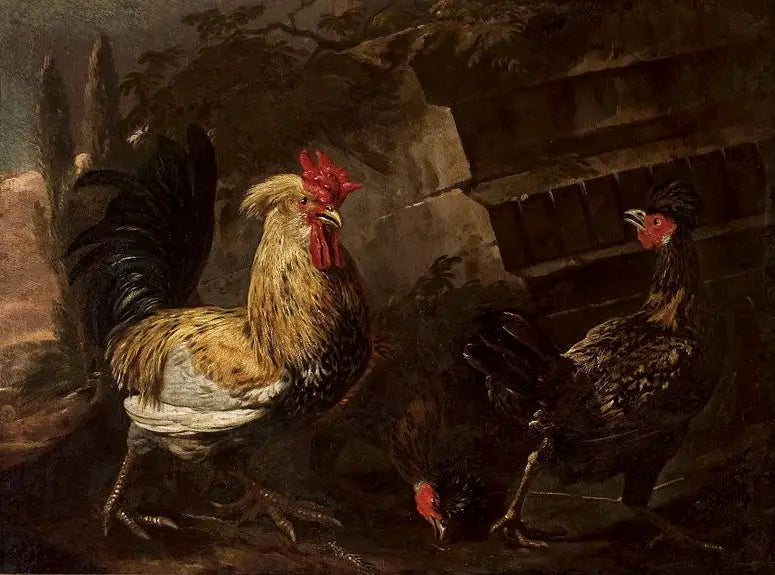 Gallo y gallinas. - Melchior de Hondecoeter